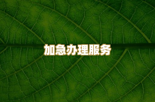 加急办理服务